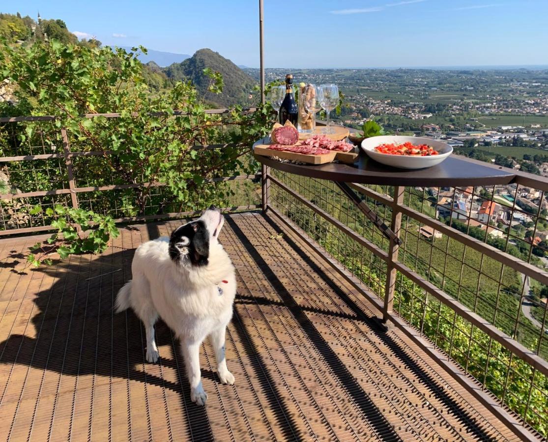 Rustico Costa D'oro Villa Farra di Soligo Esterno foto