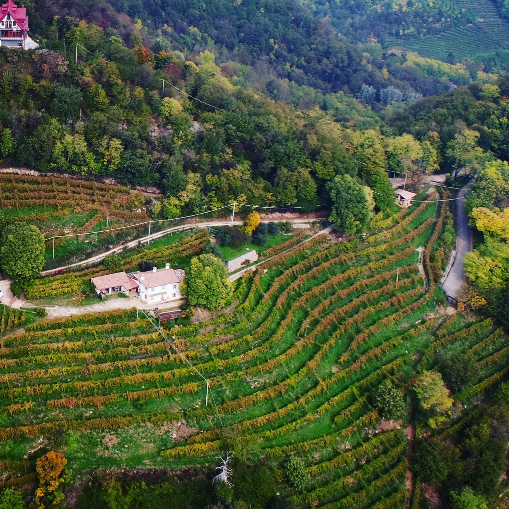 Rustico Costa D'oro Villa Farra di Soligo Esterno foto